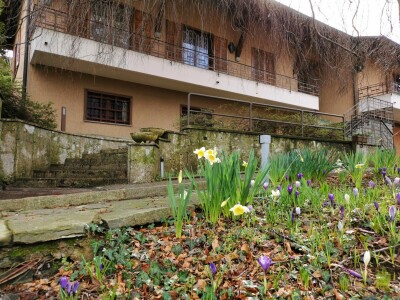 ARCISATE, SIGNORILE VILLA BIFAMILIARE-11