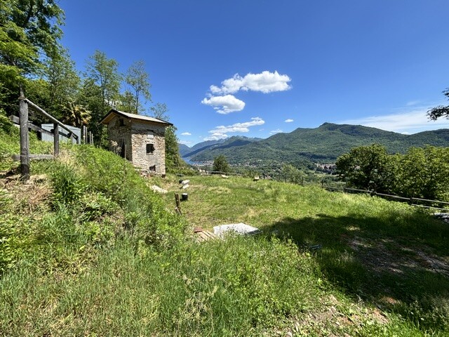 BISUSCHIO, TERRENO AGRICOLO CON VISTA LAGO-16