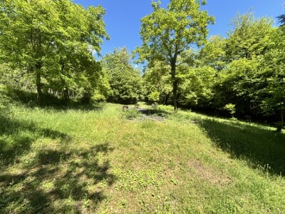 BISUSCHIO, TERRENO AGRICOLO CON VISTA LAGO