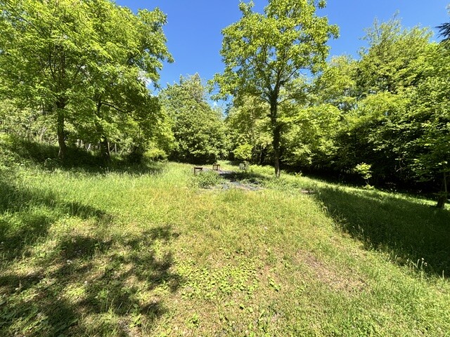 BISUSCHIO, TERRENO AGRICOLO CON VISTA LAGO-19