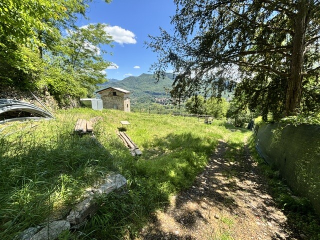 BISUSCHIO, TERRENO AGRICOLO CON VISTA LAGO-22
