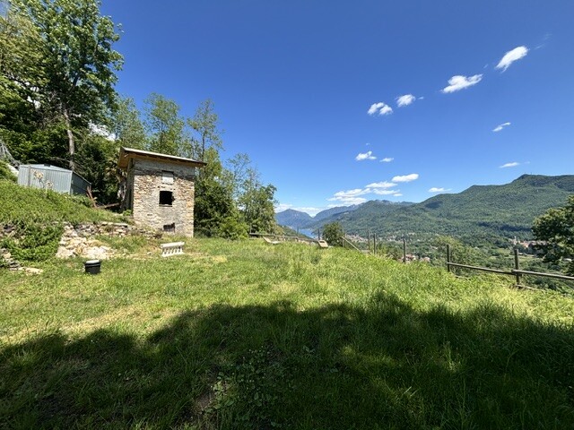 BISUSCHIO, TERRENO AGRICOLO CON VISTA LAGO-23