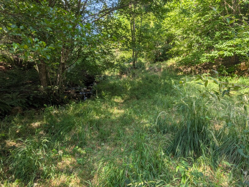 CUASSO AL MONTE, IMBORGNANA, DOPPIA PORZIONE DI CASA-30