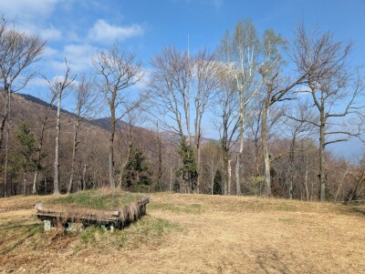 CUASSO AL MONTE, ALPE TEDESCO, TERRENO BOSCHIVO