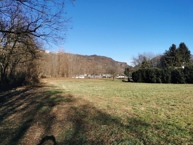 BESANO, TERRENO AGRICOLO-4