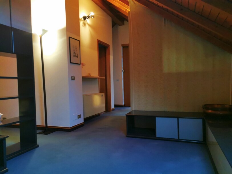 ARCISATE, SIGNORILE VILLA BIFAMILIARE-49